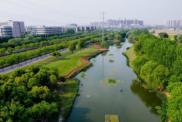 花橋泗涇河徐公河梅浦河擋墻及河道調(diào)整工程-圓木樁施工方案